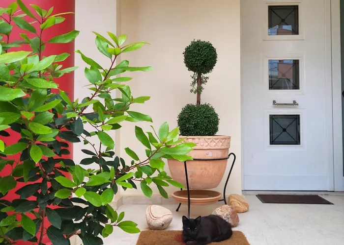 Vivere Terrace Seaside Kalamata
