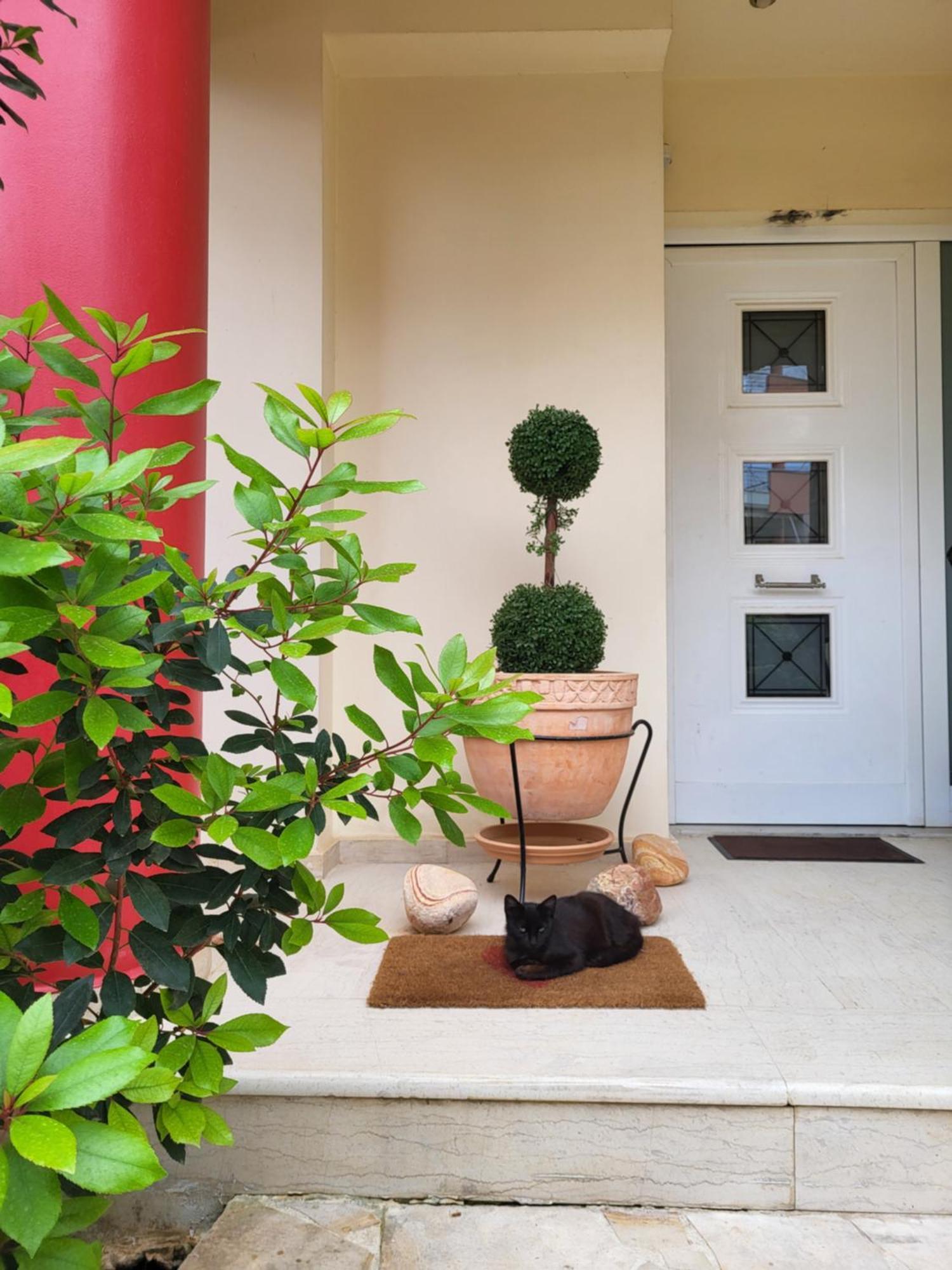 Vivere Terrace Seaside Kalamata Διαμέρισμα